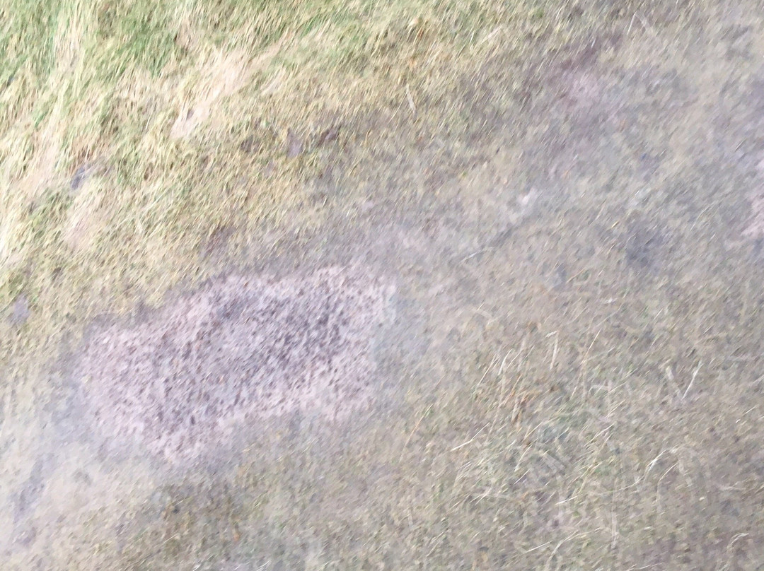 Nordsostien-约林必去景点