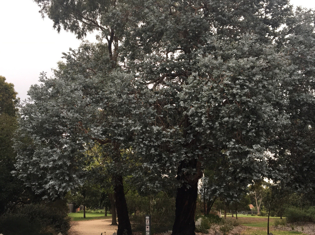 Wishart Reserve-Hampton必去景点