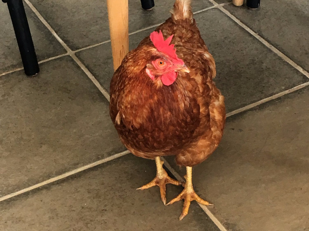 Maison H Guest House主图