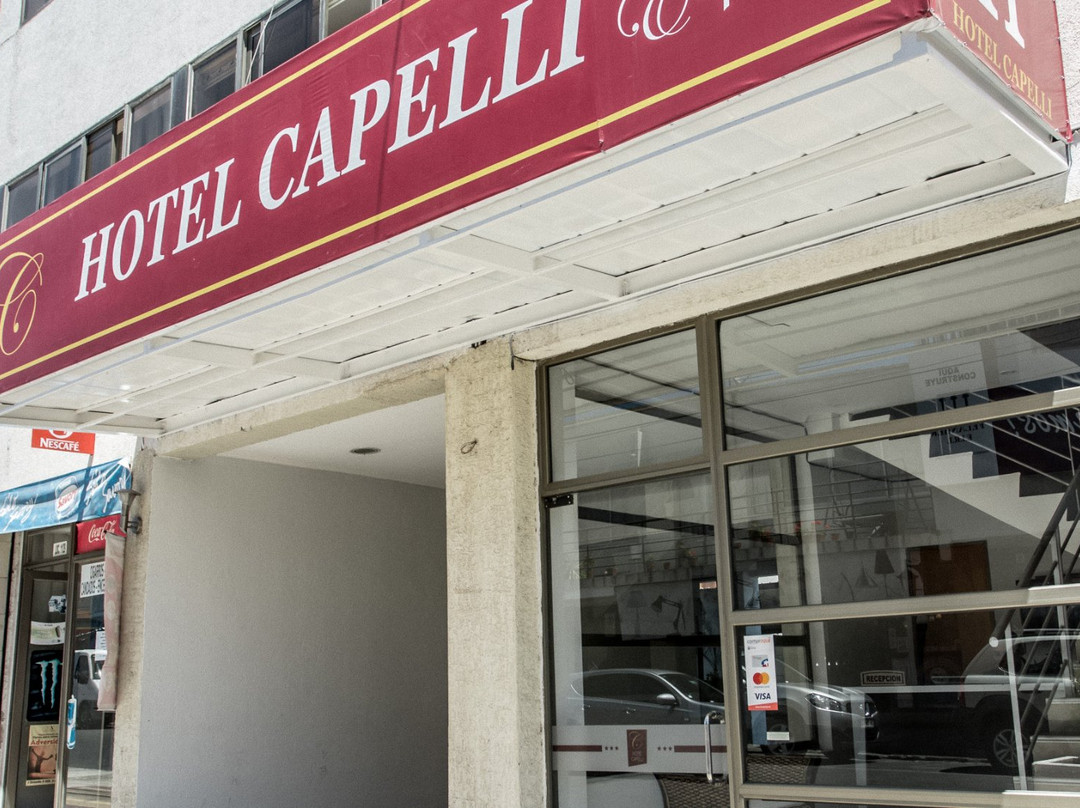 Hotel Capelli Express主图