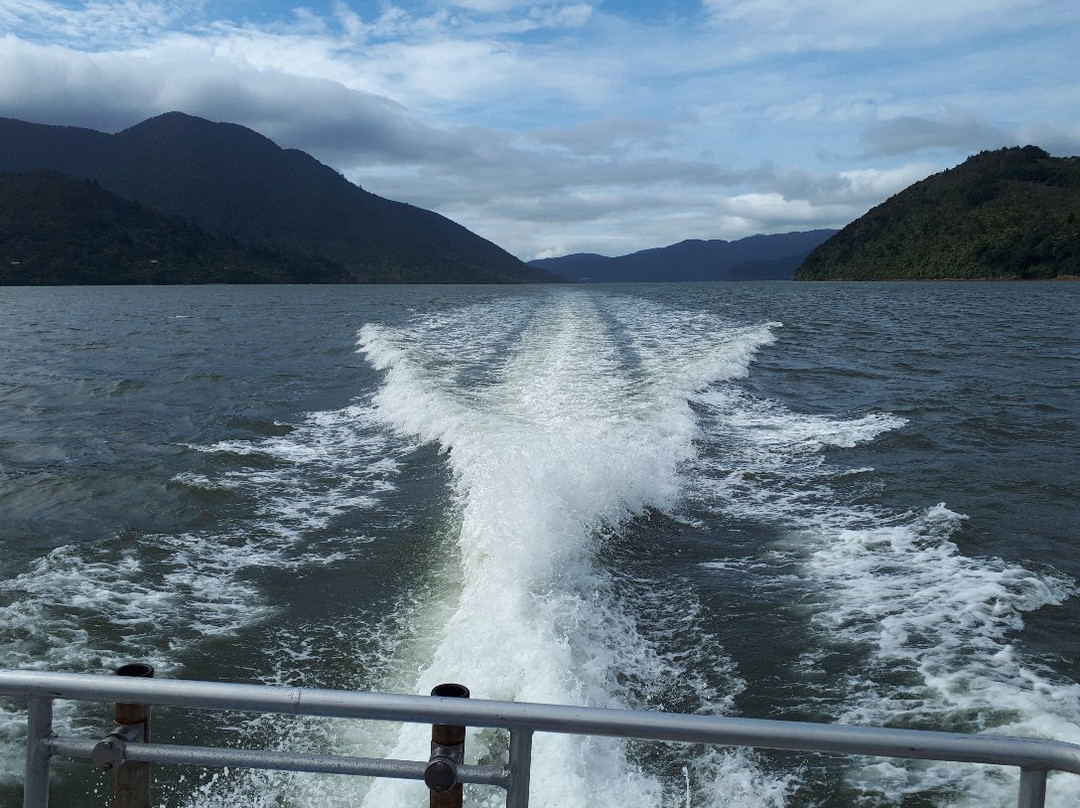 Pelorus Sound Water Taxi & Cruises景点图片