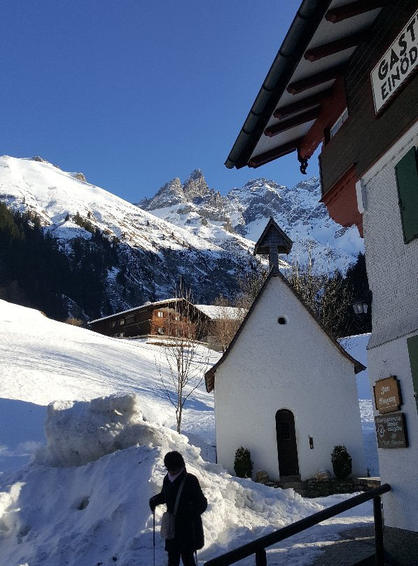 Hotel Hahnenkoepfle主图