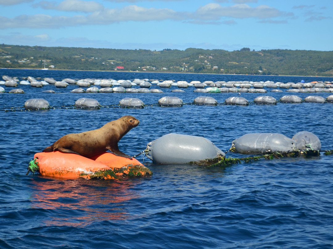 Chiloe Turismo Verde-Ancud必去景点