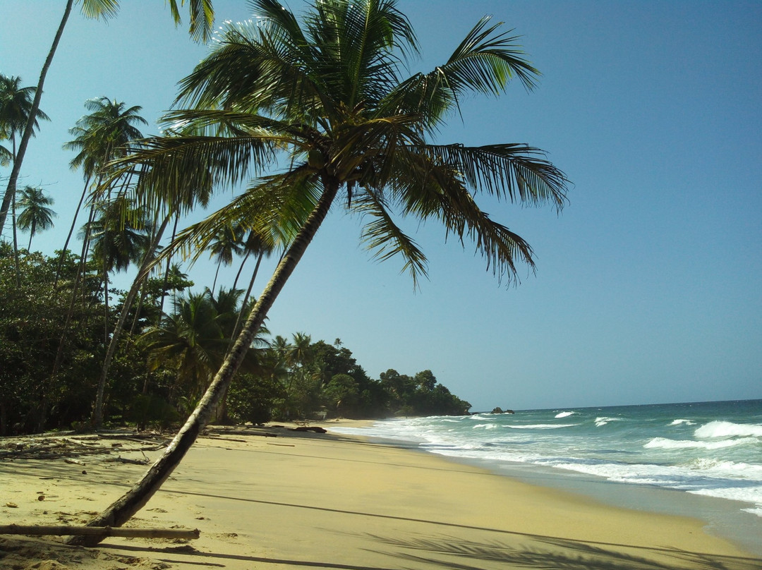Blanchisseuse Beach-Blanchisseuse必去景点