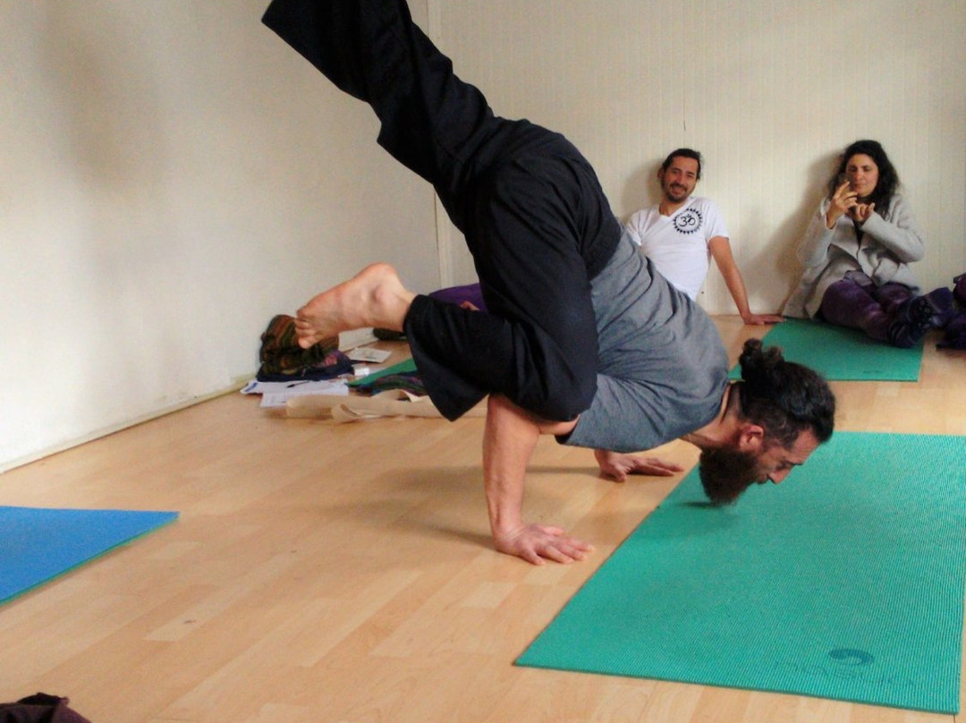 Trapananda Yoga-Coyhaique必去景点