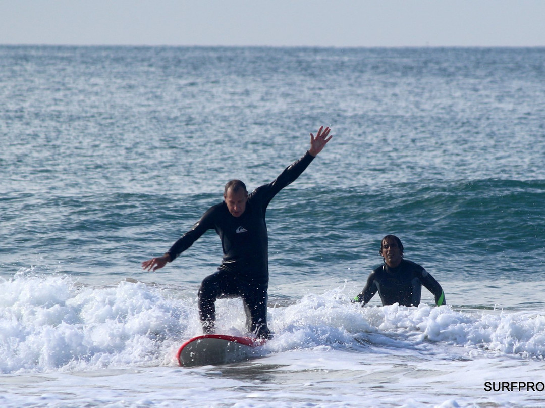 Surf Pro Surf School-里斯本必去景点