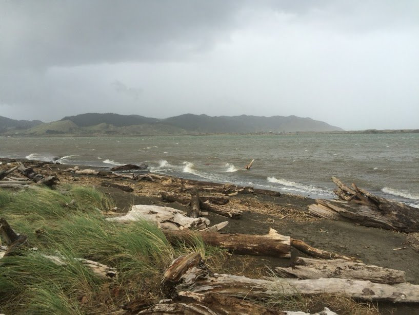 Waiuku Forst-奥克兰中心地区必去景点