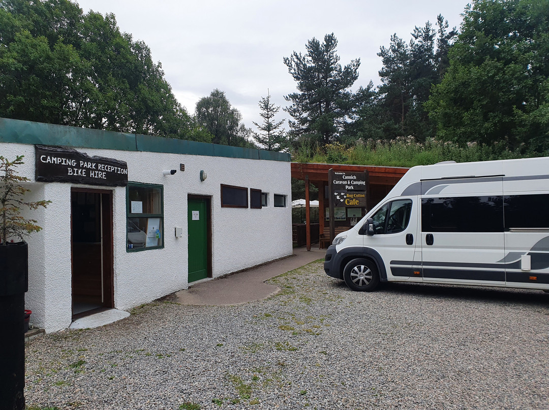 Cannich Woodland Camping