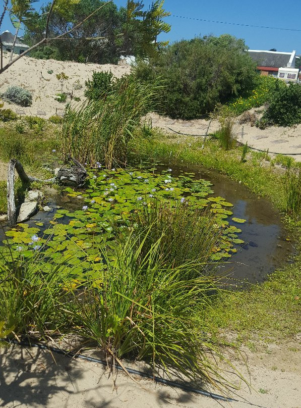 Tuin-op-die-Brak-斯特尔拜必去景点