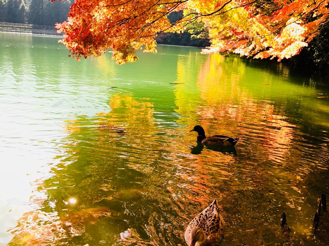 Minami Inaga Lake景点图片