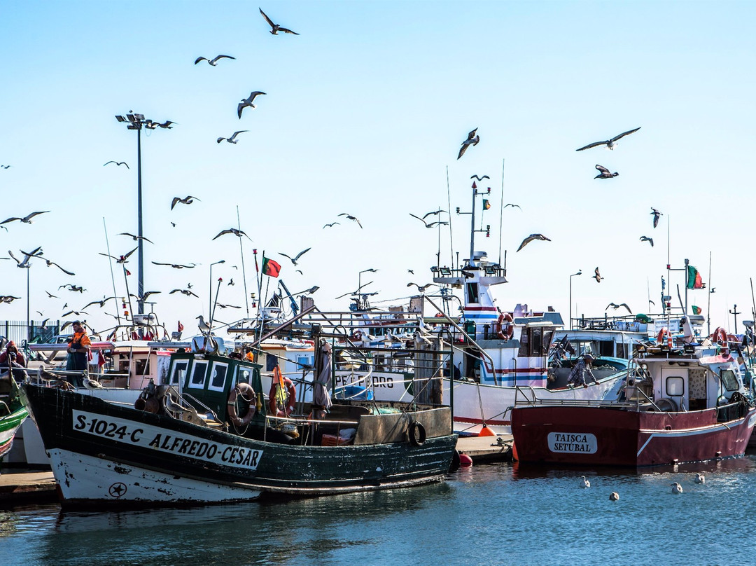 Doca dos Pescadores景点图片