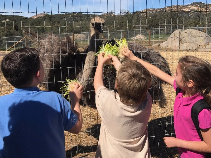 Alpine Acres Sanctuary Farm-Alpine必去景点