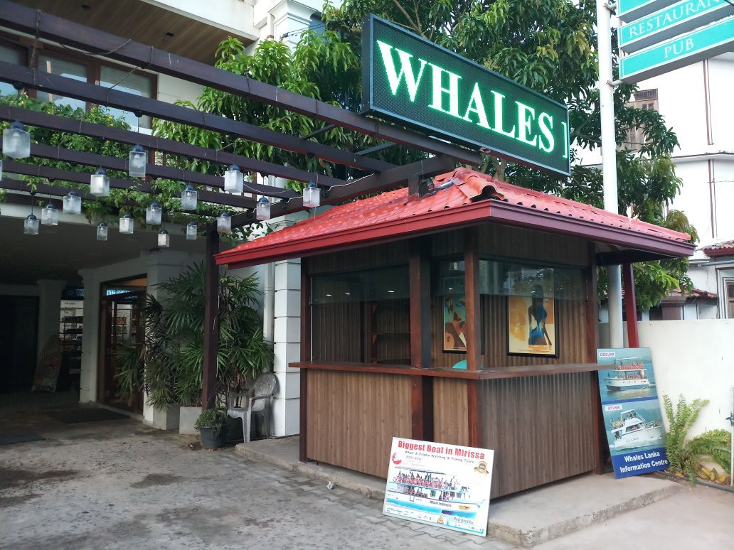 Whales Lanka景点图片
