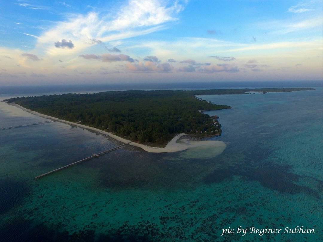 Wakatobi Divers