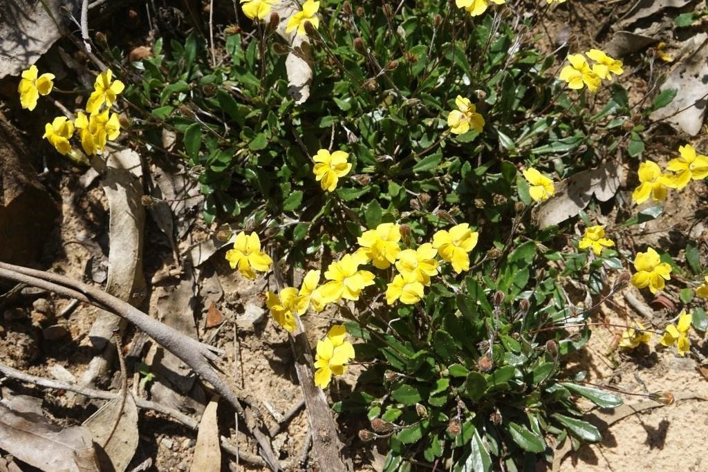 Clematis Falls-贺思盖必去景点