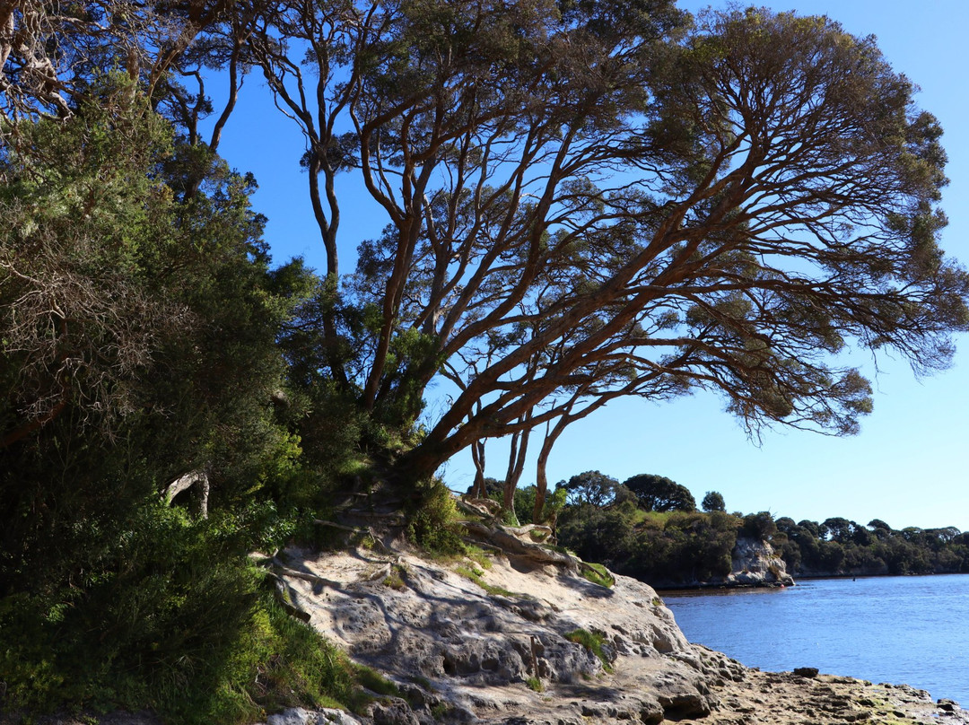 Casuarina Cabins