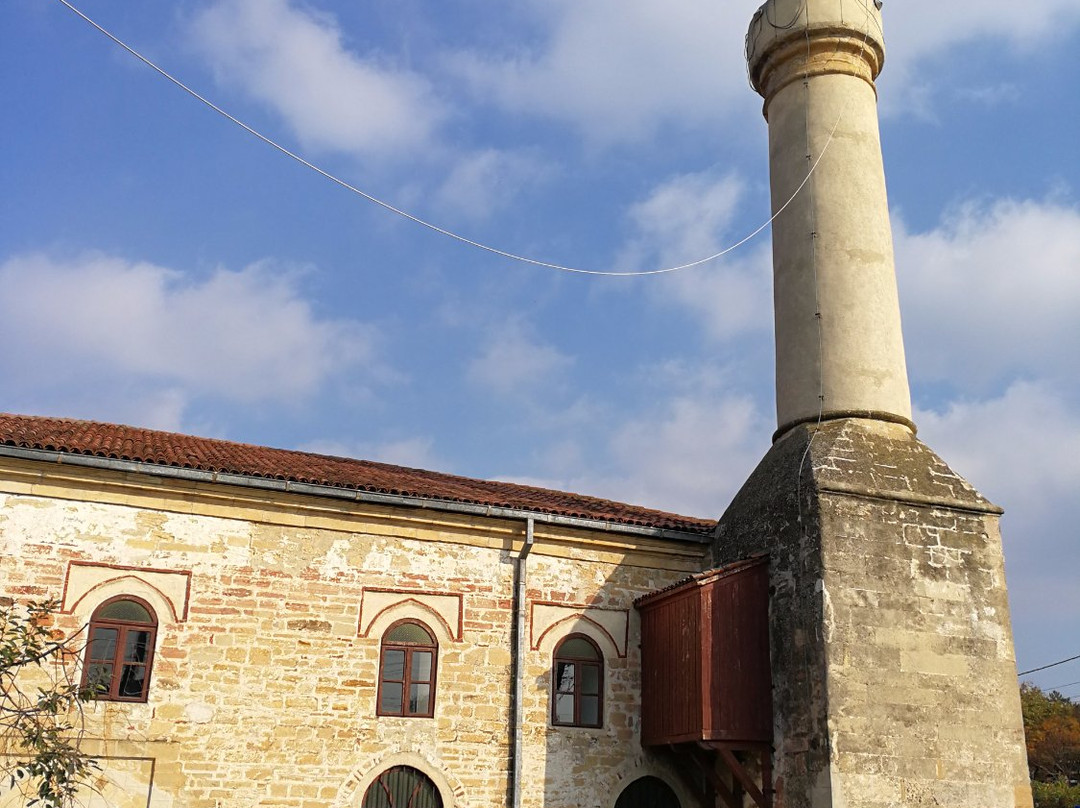 Geamia Ali-Gazi Pașa景点图片