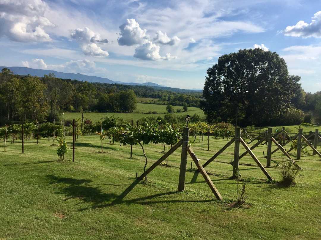 Blue Goose Farm and Vineyards景点图片