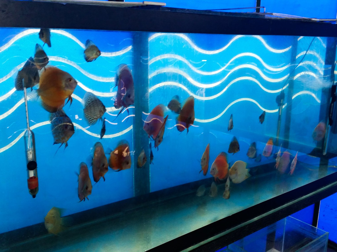 NaturArte景点图片