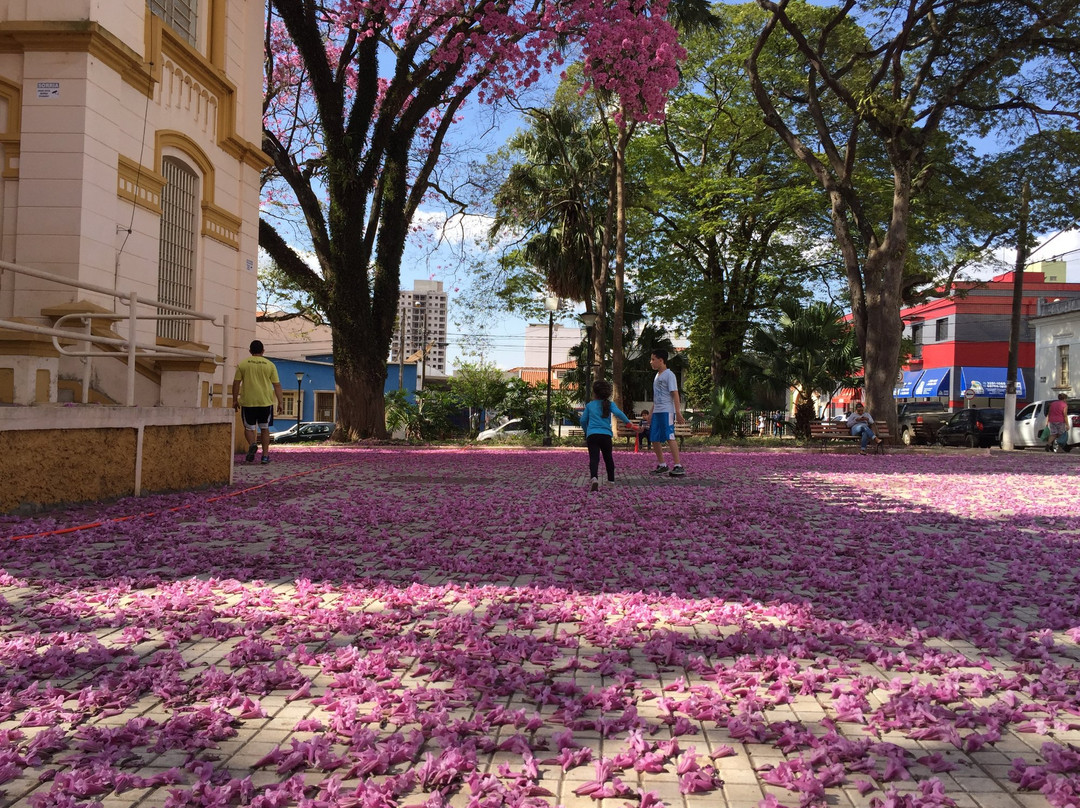 Paulo Setubal Museum-Tatui必去景点
