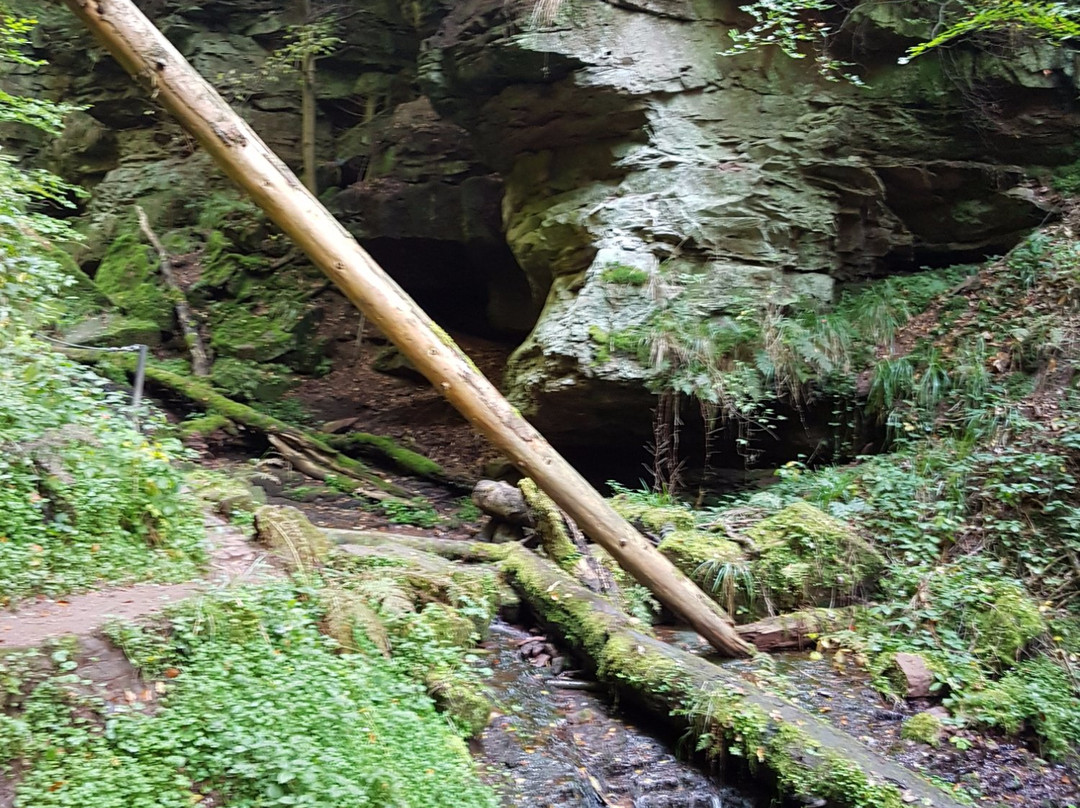 Wolfsschlucht-Zwingenberg必去景点