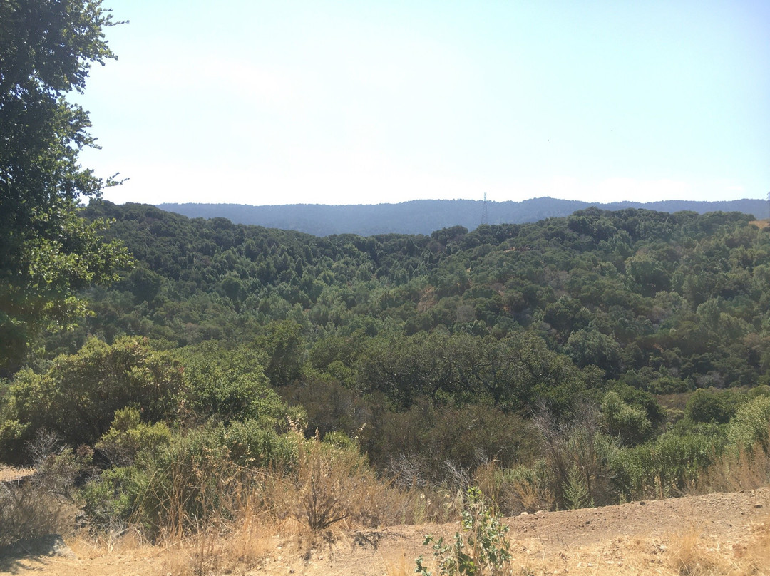 Pulgas Ridge Preserve-雷德伍德城必去景点
