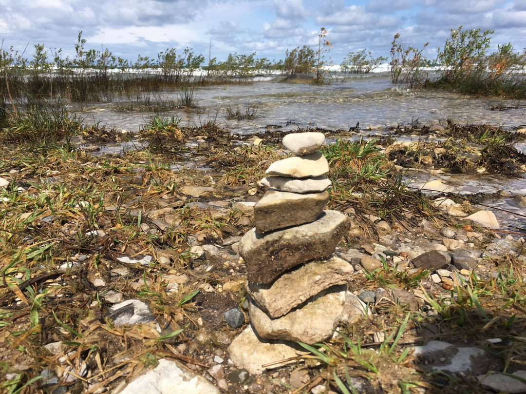 Leelanau State Park景点图片