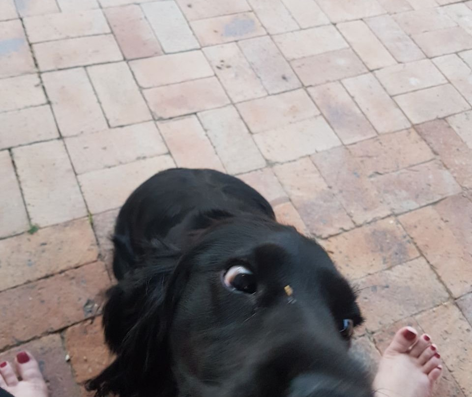 SummerHouse McGregor主图