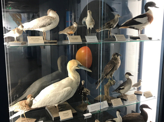 Maison de la Nature et de L'Estuaire-Sallenelles必去景点