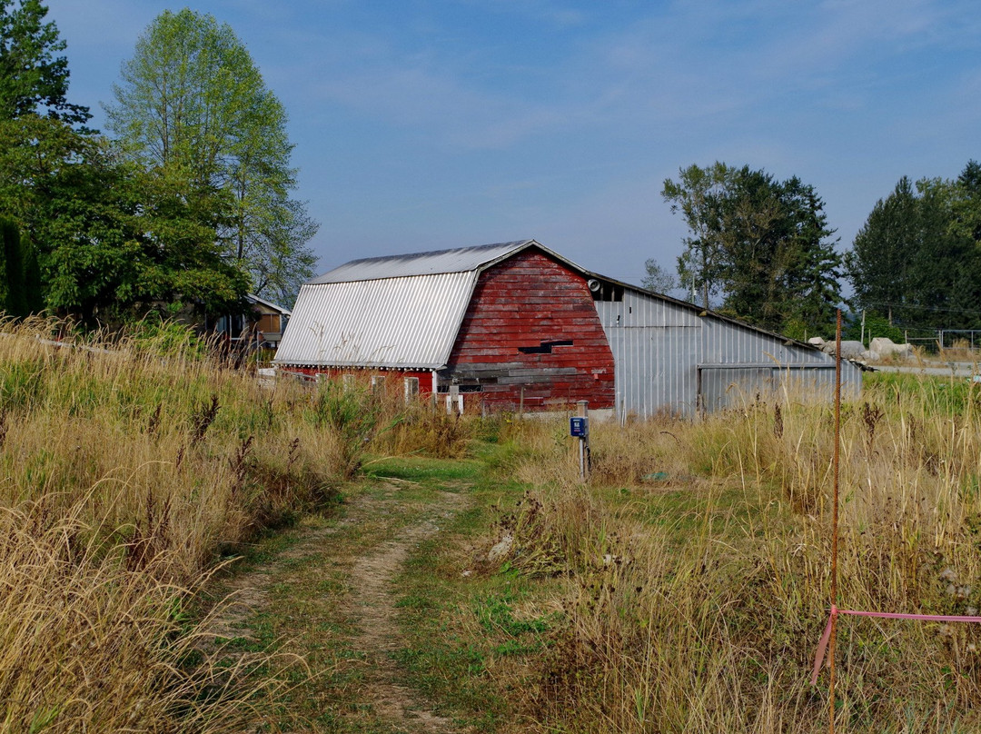Fraser Valley Cider Company-兰里市必去景点