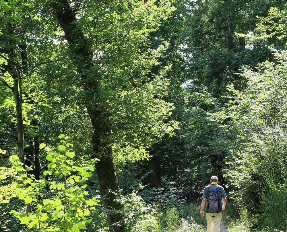 Traumschleife Mittelalterpfad Wanderweg-Herrstein必去景点