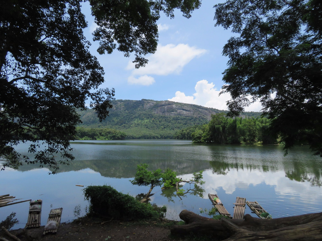 Thoonakkadavu Lake-孔巴托必去景点