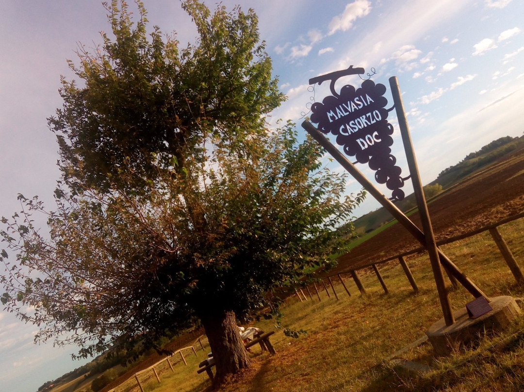 Bialbero景点图片
