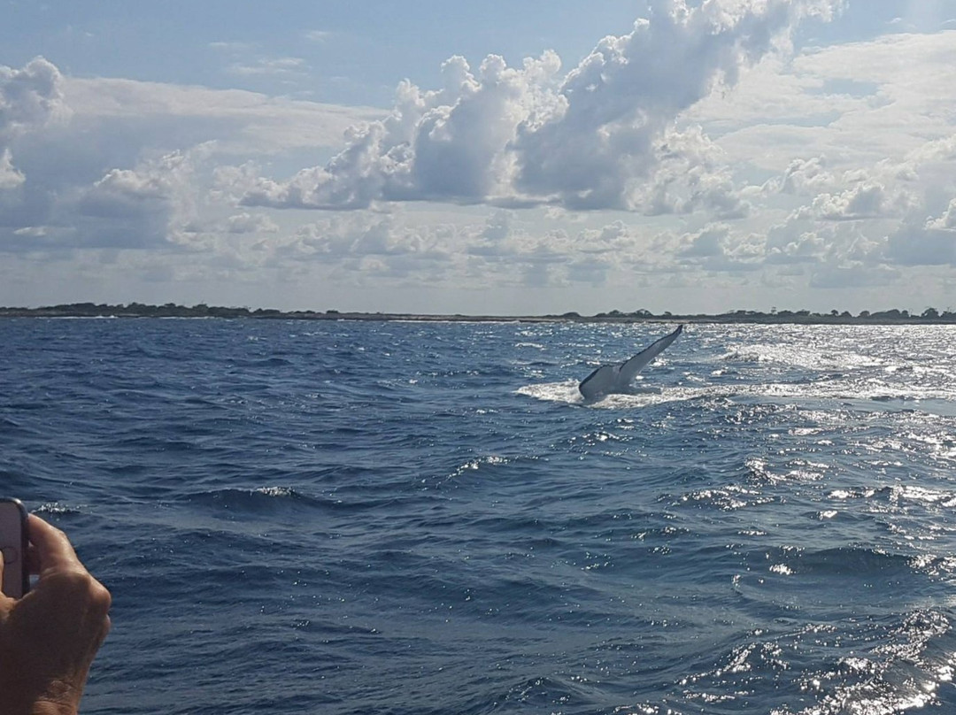 Moz Adventures, Lda-Nacala必去景点