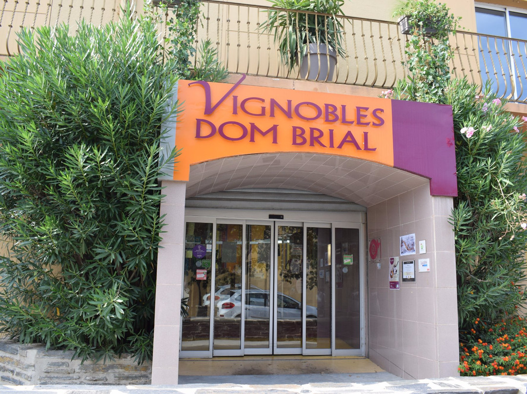 Vignobles Dom Brial景点图片