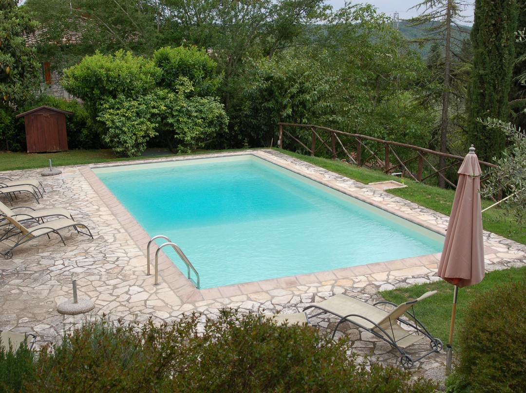 Campo Agli Olivi