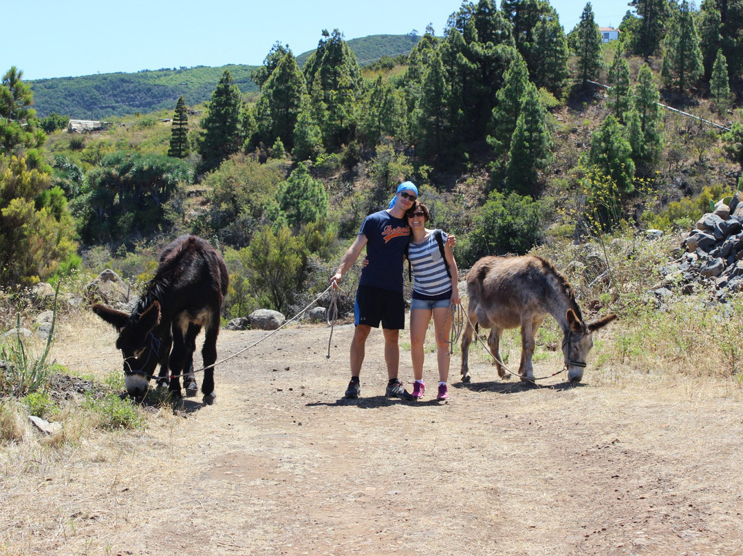 Eselwandern auf La Palma-Garafia必去景点
