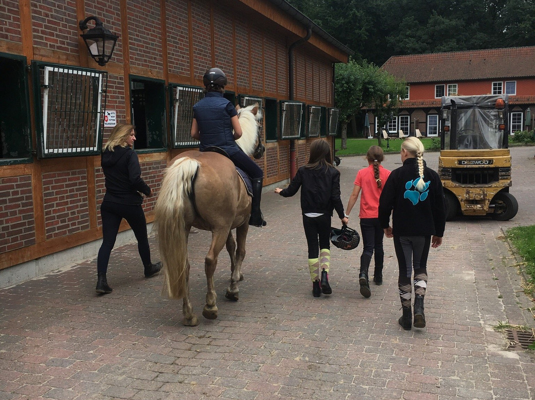 Visselhovede酒店住宿-Hof Springhorn