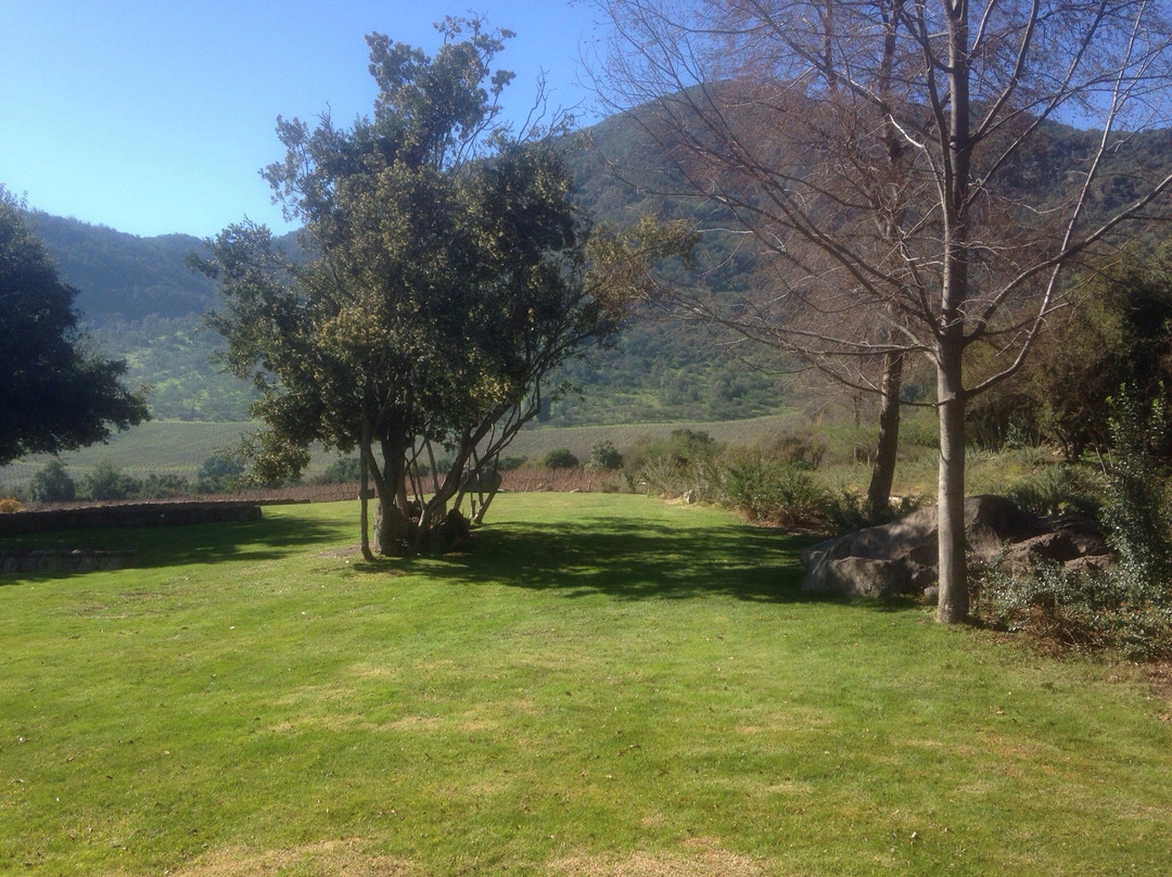 Cachapoal Wine Route-兰卡瓜必去景点