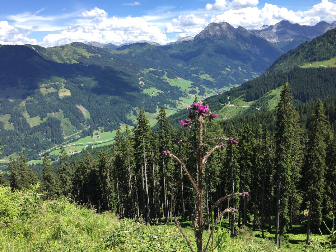 瓦格亥姆旅游攻略图片
