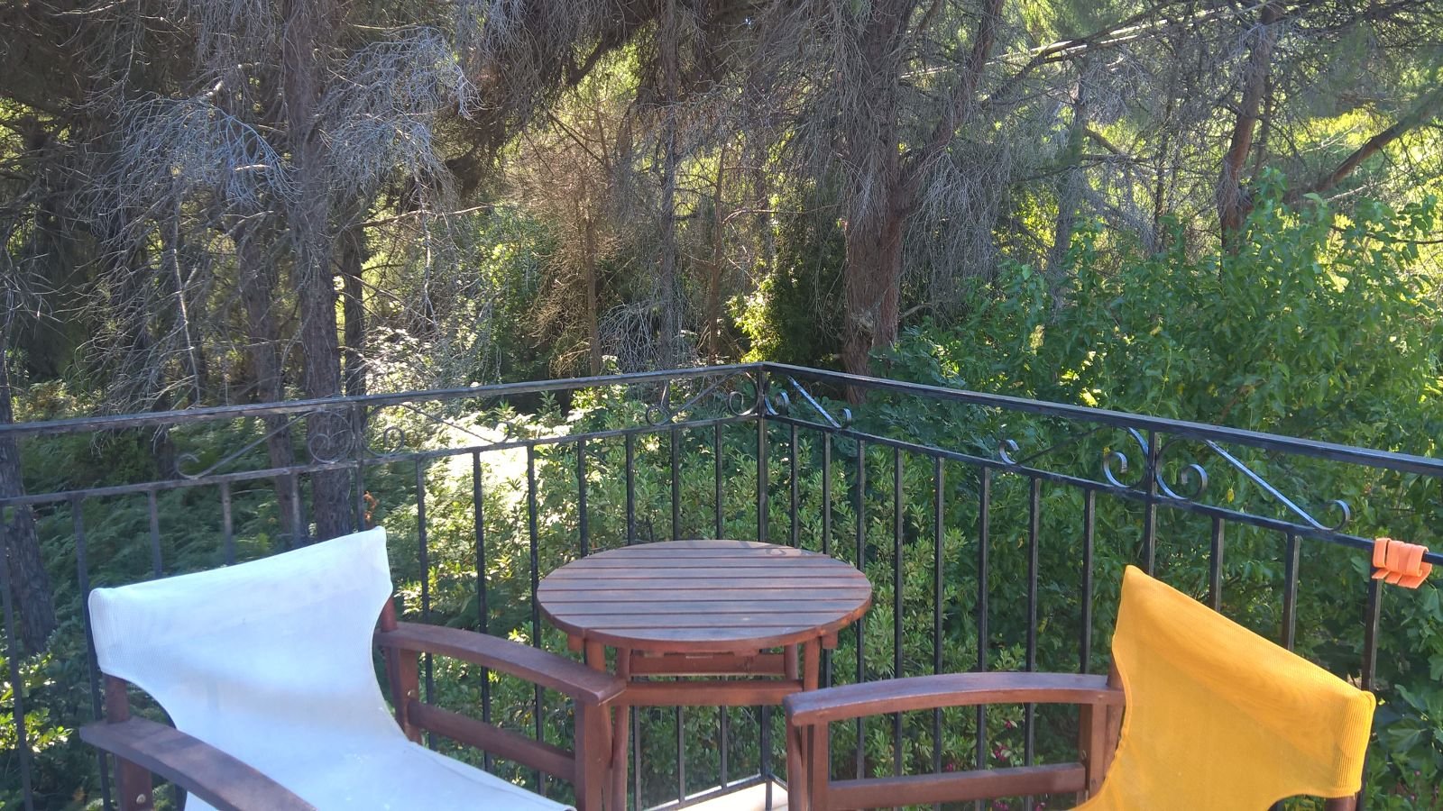 Strophilia Apartments-官方