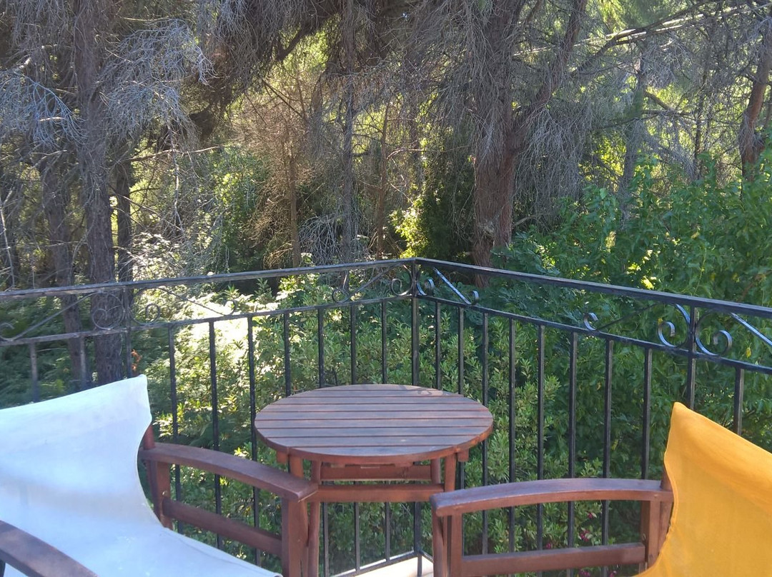 Strophilia Apartments主图