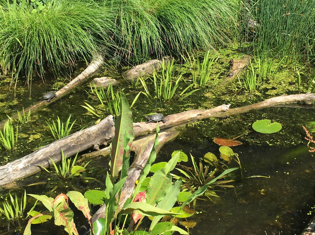 Schloss Orth an der Donau-Orth an der Donau必去景点