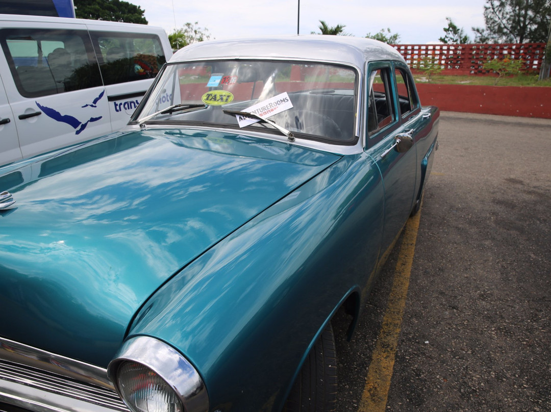 Adventure Rooms-Montclair必去景点