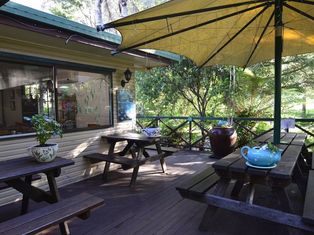 Queen Mary Falls Caravan Park & Cabins