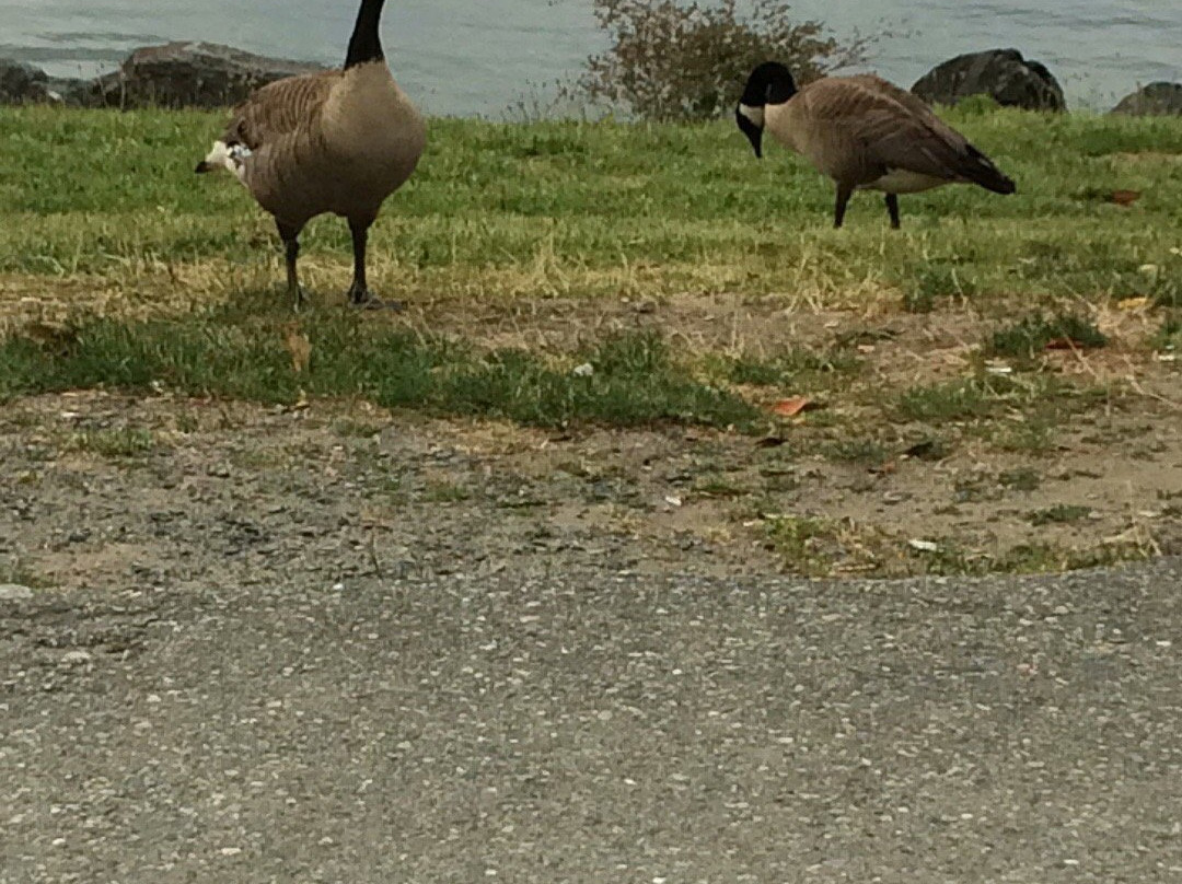 Healing Springs Spa-哈里逊温泉必去景点
