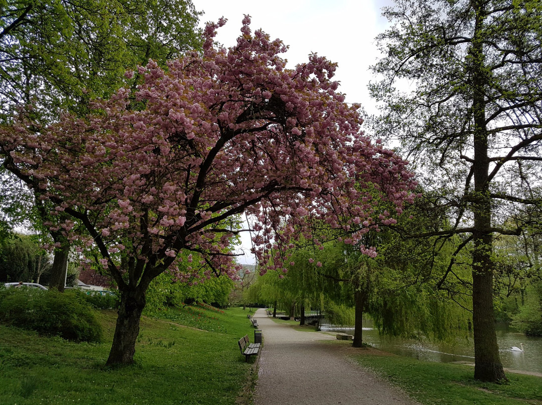 Pfühlpark景点图片