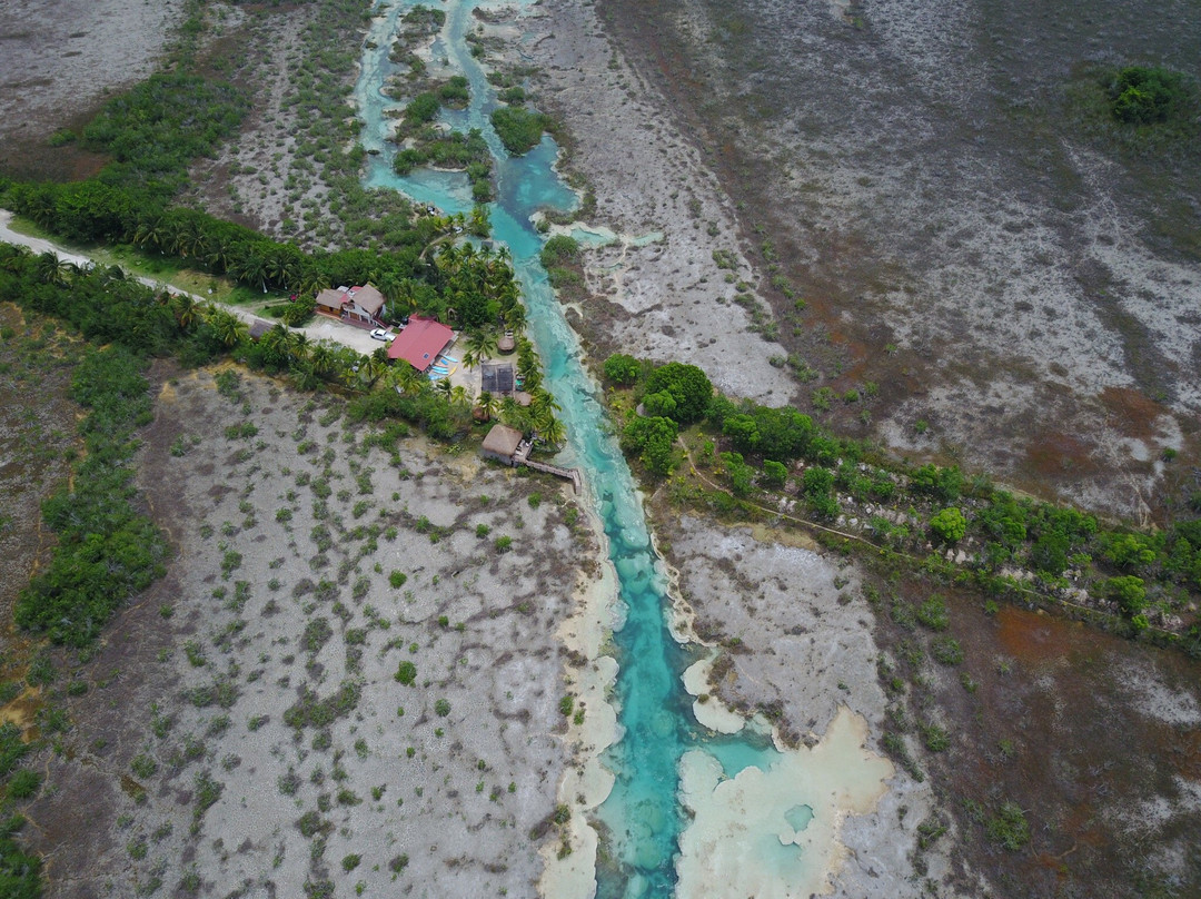 Stromatolites in Bacalar Rapids-Bacalar必去景点