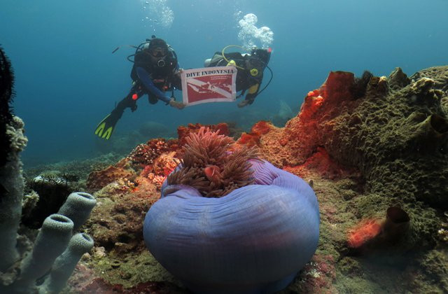 Dive Indonesia™-雅加达必去景点