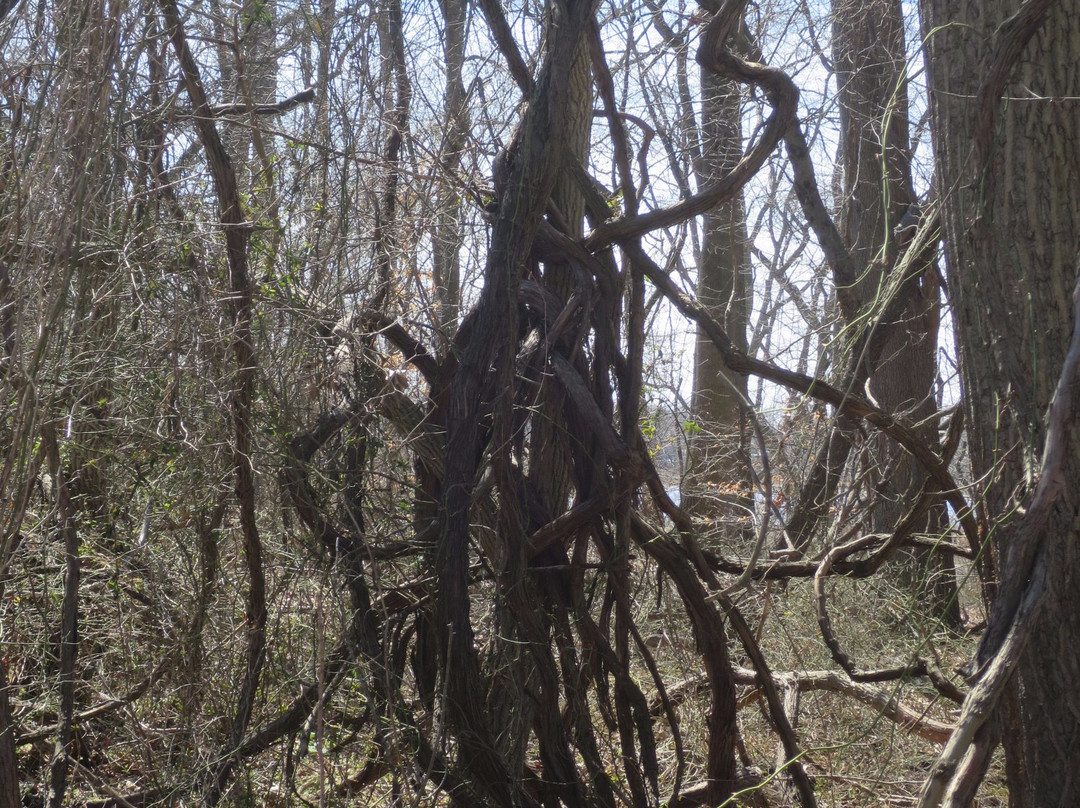 Pennington Park-Delanco必去景点